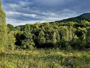 Teren cabana de vacanta   3182 mp  Comision 0%