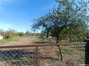 Vând sau schimb cu apartament casă cărămidă+ văiugă + teren pentru casâ in com. Livezile jud.Timiș.  - imagine 7