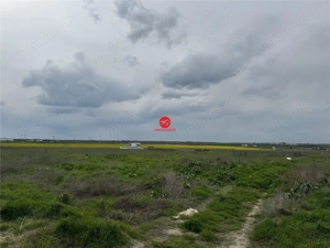 Teren 2500 mp zona Boreal - imagine 10