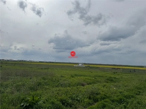 Teren 2500 mp zona Boreal - imagine 7