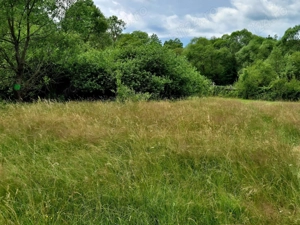 Comision 0%, teren 900 mp, Sinca Noua - imagine 5