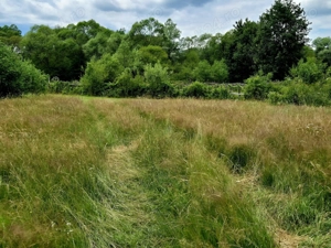 Comision 0%, teren 900 mp, Sinca Noua - imagine 4