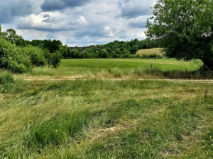 Comision 0%, teren 900 mp, Sinca Noua - imagine 3