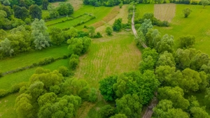 Comision 0%, teren 900 mp, Sinca Noua - imagine 2