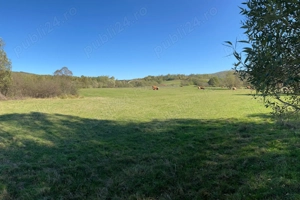 Comision 0%, teren 900 mp, Sinca Noua - imagine 6