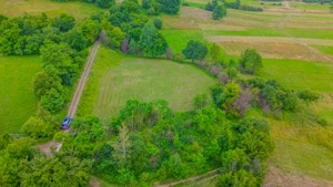 Comision 0%, teren 900 mp, Sinca Noua - imagine 7