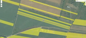 Teren de vanzare Giroc 16600mp