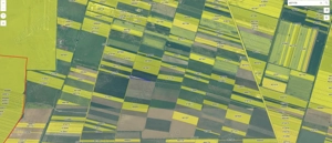 Teren de vanzare Giroc 16600mp - imagine 4