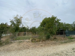 Teren 3000mp intravilan in Mavrodolu, AG - imagine 2