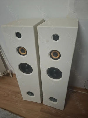 Vând set 2 boxe, carcasa lemn