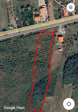Teren extravilan la soseaua principala, 5000 mp(cu pomi fructiferi)