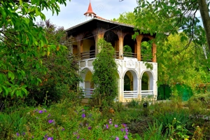 Vanzare vila 6 camere 264mp + garaj + garsoniera separata + 1490mp Centru Snagov Ilfov Nufarului 50A