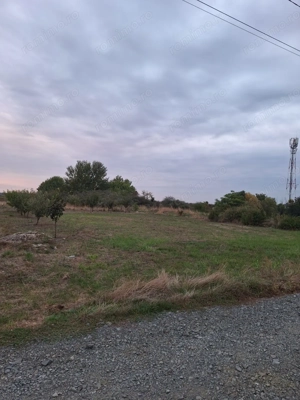 !!! 608 mp ... zona Ikea Dumbravita....150 euro mp