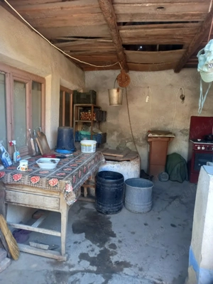 Vand casa Ramnicelu Braila 3000 mp - imagine 3 Vand casa Ramnicelu Braila 3000 mp - imagine 3