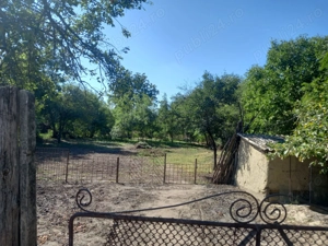 Vand casa Ramnicelu Braila 3000 mp - imagine 5 Vand casa Ramnicelu Braila 3000 mp - imagine 5