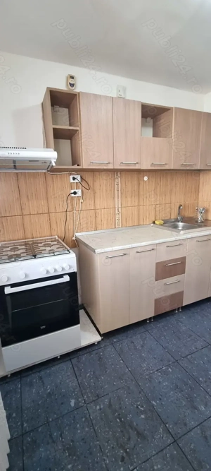 Petre Ispirescu Bârcă - imagine 5 Petre Ispirescu Bârcă - imagine 5