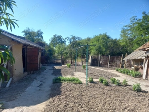 Vand casa Ramnicelu Braila 3000 mp - imagine 4 Vand casa Ramnicelu Braila 3000 mp - imagine 4