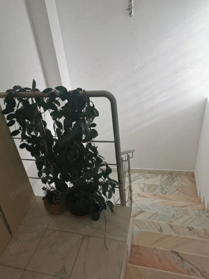 Vila de vânzare în Vatra Luminoasă București sector 2  - imagine 8