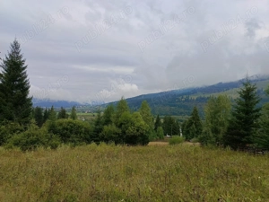 Teren de vanzare Vatra Dornei