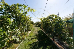 Casa visurilor cu livada roditoare si gradina amenajata Darmanesti-Arges - imagine 4