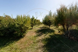 Casa visurilor cu livada roditoare si gradina amenajata Darmanesti-Arges - imagine 5