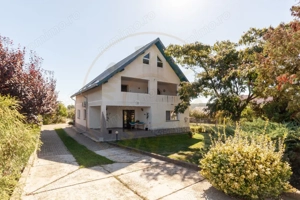 Casa visurilor cu livada roditoare si gradina amenajata Darmanesti-Arges - imagine 3