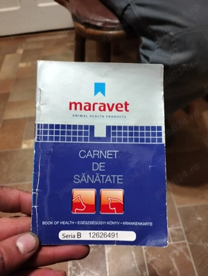 Caini 5 ani  - imagine 3