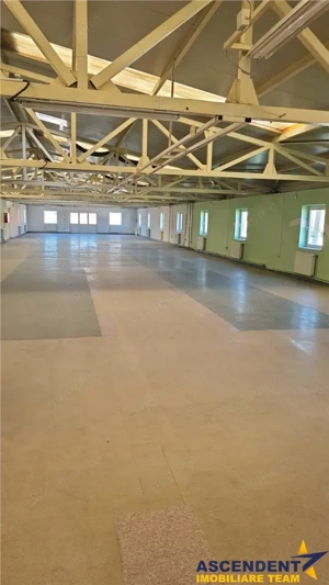 Hala multifunctionala de vanzare, Prejmer, Brasov - imagine 8 Hala multifunctionala de vanzare, Prejmer, Brasov - imagine 8