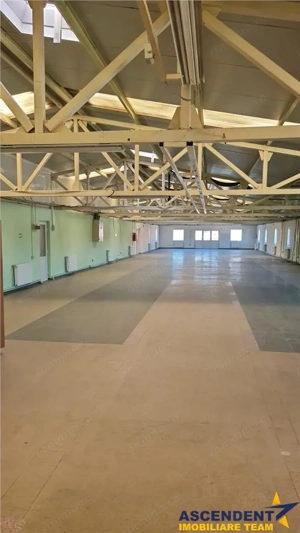 Hala multifunctionala de vanzare, Prejmer, Brasov - imagine 4 Hala multifunctionala de vanzare, Prejmer, Brasov - imagine 4