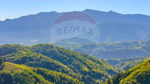 COMISION 0% Teren 10,594mp Pestera /Intravilan - imagine 4