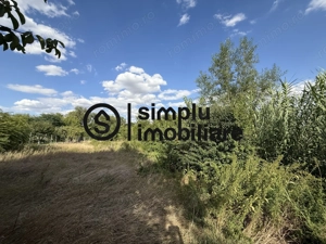 Casa + Teren 1676 Strada Principala Malul Mare - imagine 5