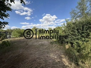 Casa + Teren 1676 Strada Principala Malul Mare - imagine 4