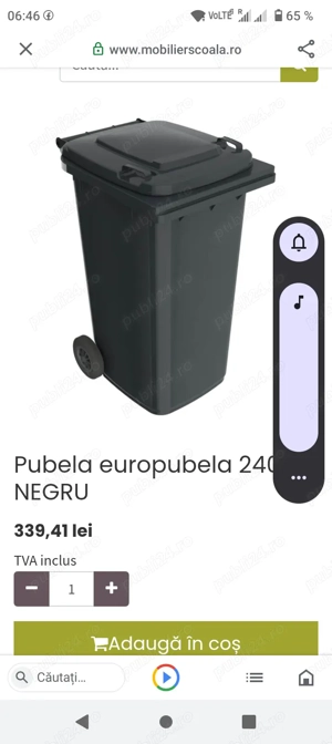 Pubela neagra