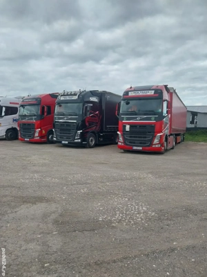 Conducatori auto categ C+ E transport intern  11000 BRUT  