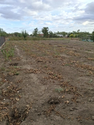 Teren de vanzare - Ciocarlia DN