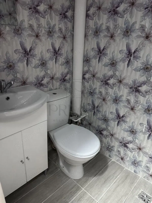 Apartament 1 camera- Blascovici - imagine 4