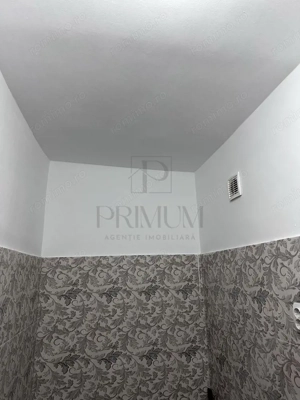 Apartament 1 camera- Blascovici - imagine 7