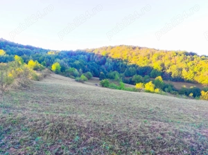 Terenuri de vis, apusuri peste dealuri și liniște totală (7.700 mp + 2.300 mp) - imagine 4