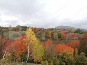 Casa ecologica tip sandwich, eficienta energetic, teren 2.673 mp, zona Baisoara - imagine 17