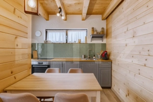 Casa ecologica tip sandwich, eficienta energetic, teren 2.673 mp, zona Baisoara