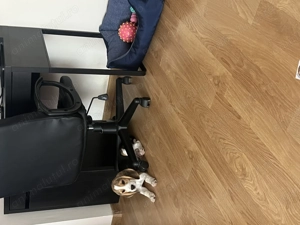 Beagle mascul cu pedigree tip A   părinți campioni - imagine 4