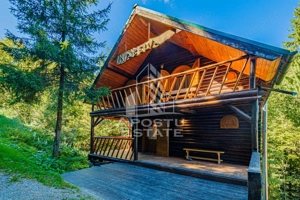 Pensiune, casa de vacanta, 6 camere, statiunea Rausor din Hunedoara - imagine 5