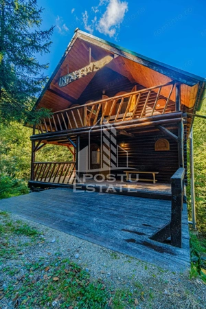 Pensiune, casa de vacanta, 6 camere, statiunea Rausor din Hunedoara - imagine 4