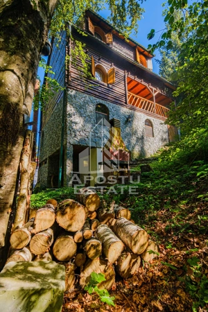 Pensiune, casa de vacanta, 6 camere, statiunea Rausor din Hunedoara - imagine 10