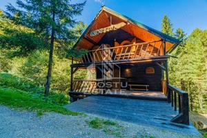 Pensiune, casa de vacanta, 6 camere, statiunea Rausor din Hunedoara - imagine 6