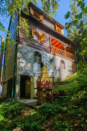 Pensiune, casa de vacanta, 6 camere, statiunea Rausor din Hunedoara - imagine 8