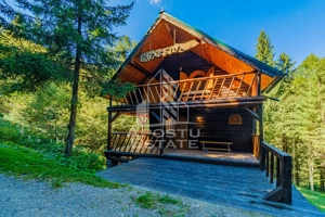 Pensiune, casa de vacanta, 6 camere, statiunea Rausor din Hunedoara - imagine 7