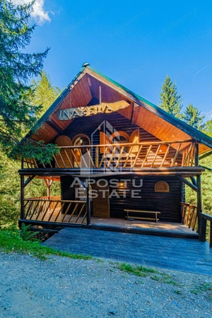 Pensiune, casa de vacanta, 6 camere, statiunea Rausor din Hunedoara - imagine 2