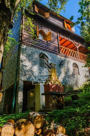 Pensiune, casa de vacanta, 6 camere, statiunea Rausor din Hunedoara - imagine 11