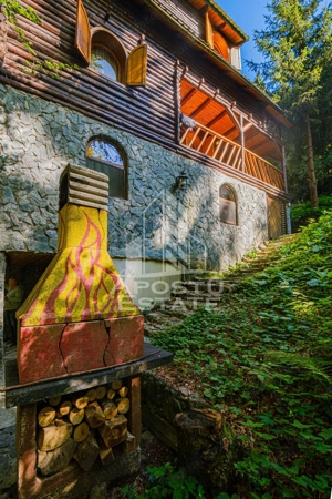 Pensiune, casa de vacanta, 6 camere, statiunea Rausor din Hunedoara - imagine 16